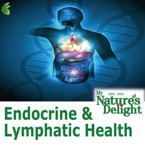 Endocrine & Lymphatic Support